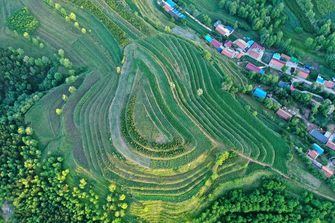生態(tài)系統(tǒng)健康和管理——加強生態(tài)技術(shù)和工程管理，促進生態(tài)系統(tǒng)健康發(fā)展